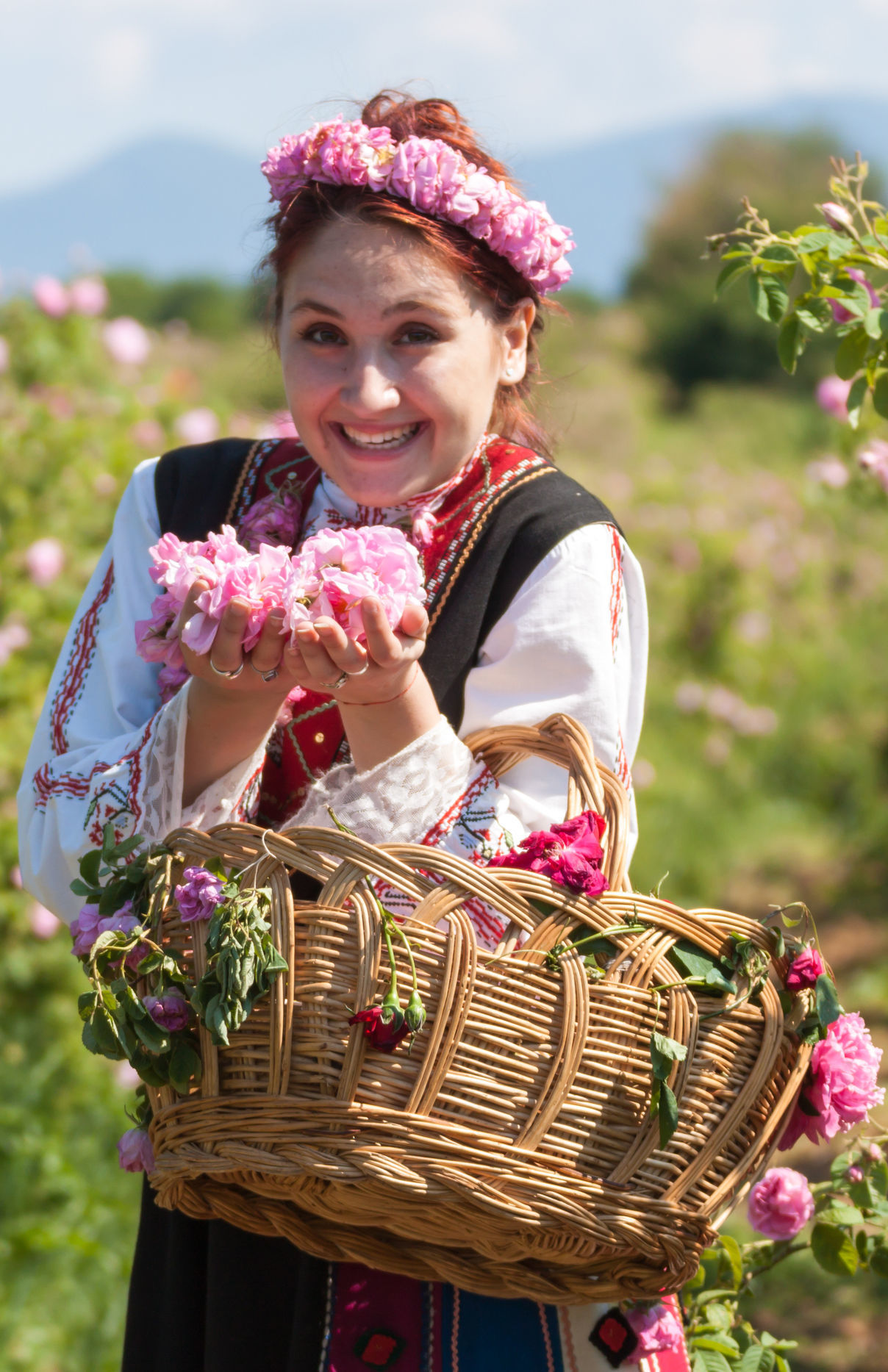 เทศกาลเก็บเกี่ยวดอกกุหลาบ ประเทศบัลแกเรีย